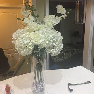 Meet your Posher, Marsha